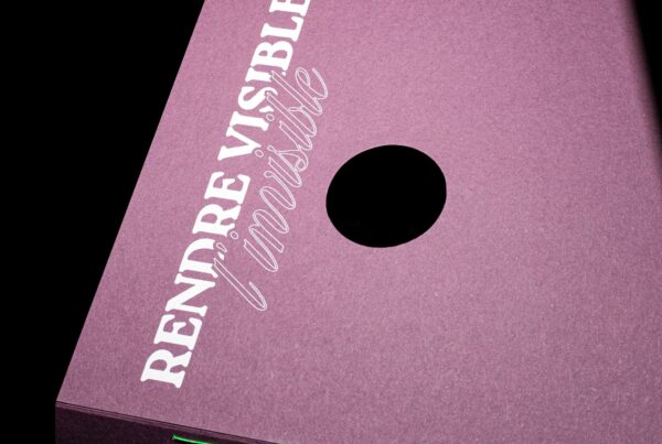 Couverture de mon mémoire DNMADE